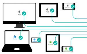 Cross-Platform Ecosystems