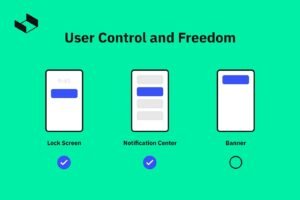 Customization and User Control
