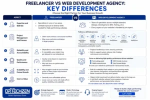 Freelancer vs Web Development Agency Key Difference chart